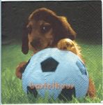 Hund mit Fußball SCHWEIZ